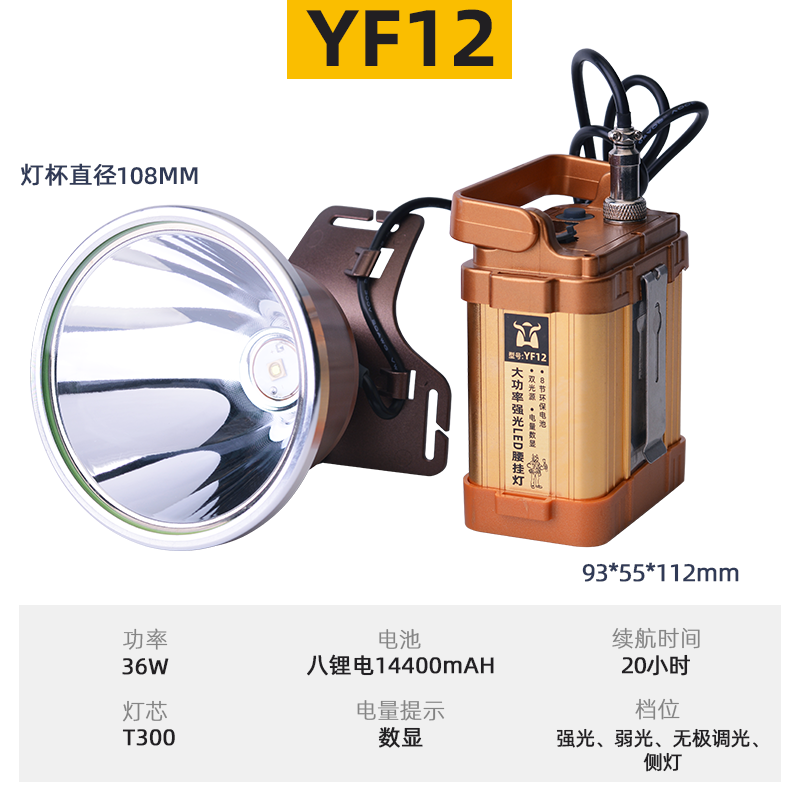 YF12